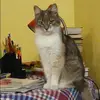 Отзыв от Эльвира Латышева